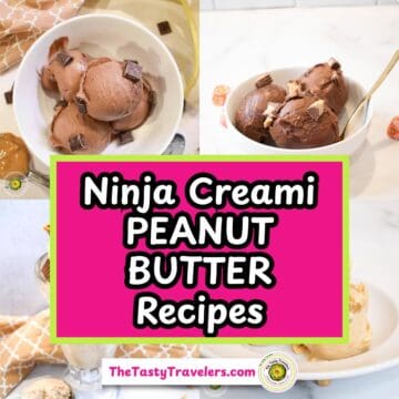 Chocolate peanut butter ice cream scoops in a white bowl with chocolate chunks.